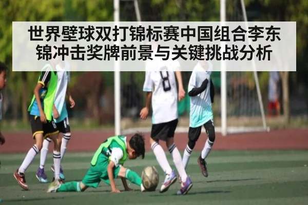 世界壁球双打锦标赛中国组合李东锦冲击奖牌前景与关键挑战分析 - kaiyun sports